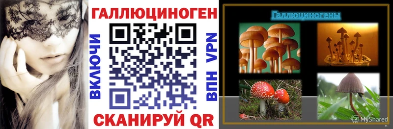 как найти закладки  Холмск  блэк спрут маркетплейс  Псилоцибиновые грибы ЛСД 